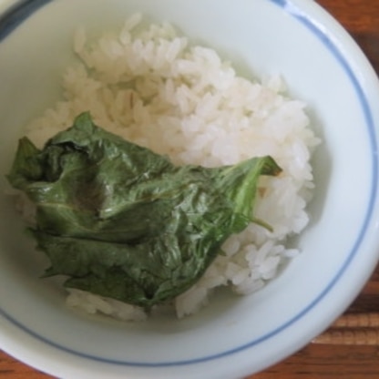 待ちきれずに、翌日から食べ始めました。
ご飯によく合いました。